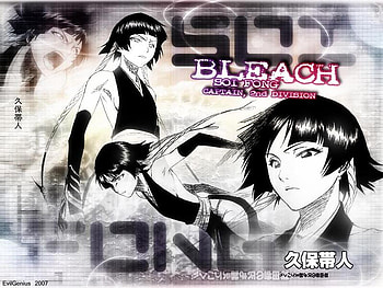 Soi Fong, captain, bleach, 2 division HD wallpaper