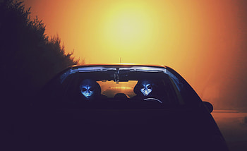 Masks, Dark, Car, Aliens HD wallpaper