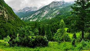 Nature, Trees, Mountains, Forest, Mainly Cloudy, Overcast, Slovenia HD wallpaper