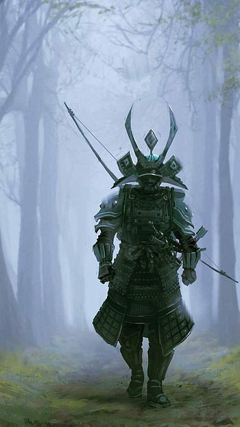 Samurai, Japanese Samurai Ronin Warrior HD phone wallpaper