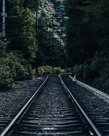 Nature, Trees, Dahl, Distance, Railway, Rails HD phone wallpaper