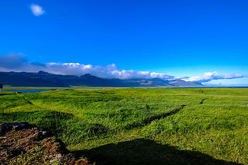 Expansive green meadow with mountains and blue sky, a perfect summer day in nature. HD wallpaper