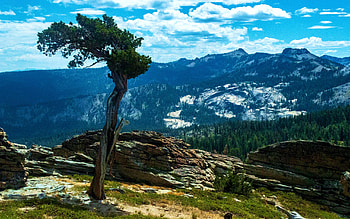 A lone watchman on Donner Peak, California, hills, landscape, clouds, sky, usa, tree HD wallpaper