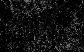 dark, black and white, abstract, black background HD wallpaper