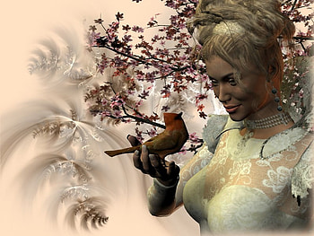 bird, fairy, nature, gentleness HD wallpaper