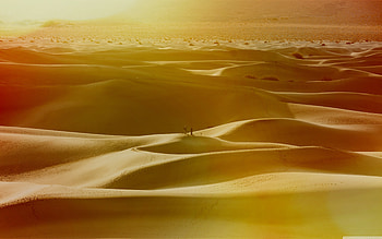 Adventure, , Desert, Lost (Tv Show) HD wallpaper