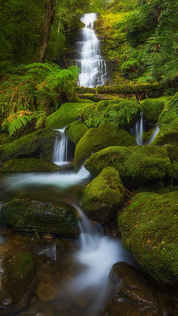 Green nature, water resources, waterfalls, river HD phone wallpaper