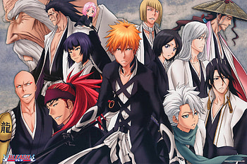 Bleach Gotei 13 Heroes Unite – Anime Spotlight, Kenpachi Zaraki, Renji Abarai, Rukia Kuchiki, Ichigo Kurosaki, Gotei 13, Anime, Bleach HD wallpaper