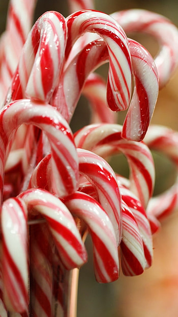 Candy Cane, Christmas Candy HD phone wallpaper
