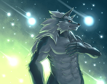 furry muscle, star, furry, sky, wolf muscle HD wallpaper