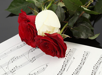 Music, Flowers, Roses, Three, Notes HD wallpaper