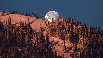 Winter solstice moon, British Columbia, snow, trees, landscape, canada, hill HD wallpaper