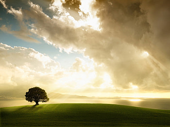 Landscape, Trees, Clouds HD wallpaper
