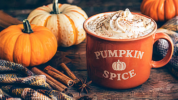 Pumpkin Spice Cozy Mug —, Pumpkin Spice Latte HD wallpaper