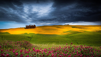 Tuscany After Storm, hills, landscape, clouds, italy, sky, flowers, spring HD wallpaper
