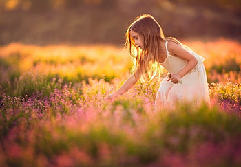 Field of Dreams, girl, spring, beauty, flowers field, field, with love, sweetness, nature, flowers, splendor, sunset HD wallpaper