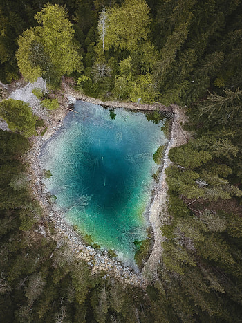 Nature, Water, Trees, View From Above, Lake, Forest HD phone wallpaper