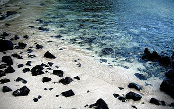 Nature, Rivers, Shore, Bank, Stones Summer HD wallpaper