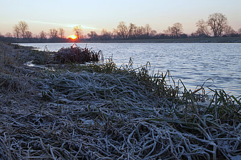 Nature, Grass, Dawn, Lake, Frost, Hoarfrost HD wallpaper
