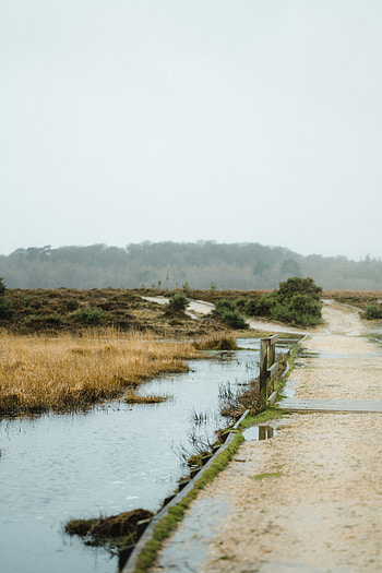 Nature, Road, Wet, Puddle HD phone wallpaper