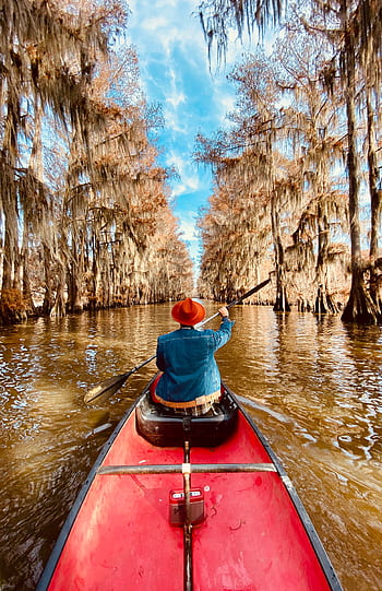 Person paddling a red canoe through the captivating autumn cypress trees of Karnack, Texas. HD phone wallpaper