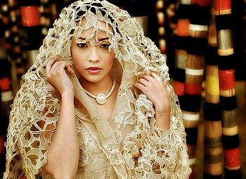 LACE COVER BEAUTIFUL LADY, model, eyes, laces, lace, hide, beauty, woman, cover, pretty, female HD wallpaper