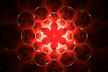 Abstract, Flower, Bright, Fractal, Glow HD wallpaper