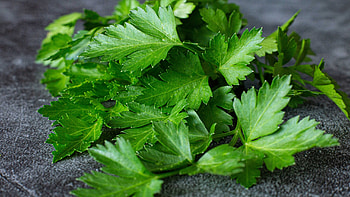 Parsley herb, Portuguese garlic shrimp recipe, Flavorful dish, Just Cook with Michael HD wallpaper