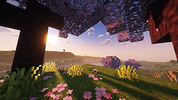 Minecraft : Serene Sunrise in Pixelated Paradise, video game, Minecraft HD wallpaper