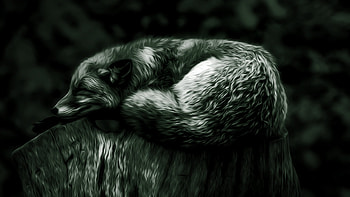 Vintage resting fox, , Calm posture, Nostalgic charm HD wallpaper