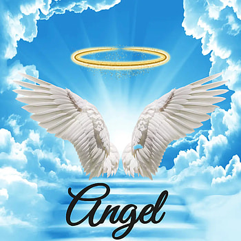 Wings, cloud, sky HD phone wallpaper