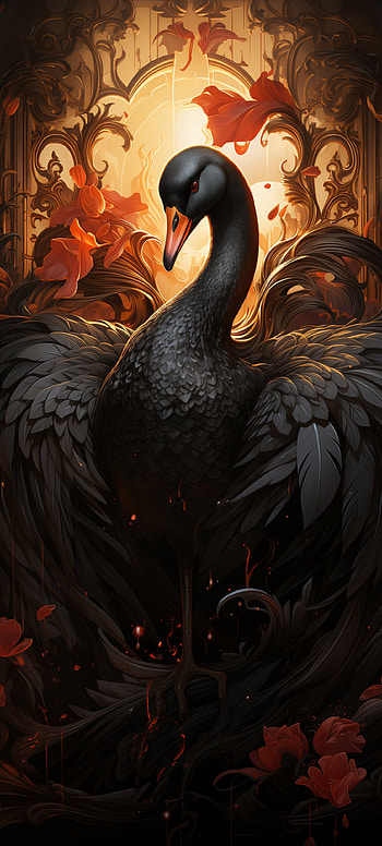 Majestic Black Swan HD phone wallpaper
