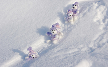 Winter Teddy Bears | Winter Teddy Bears stock HD wallpaper