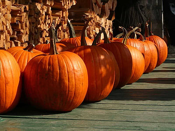 Ready to Carve The Pumpkin, pumpkin, carve, deck, orange HD wallpaper