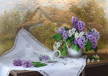 still life, abstract, graphy, vase, flowers HD wallpaper