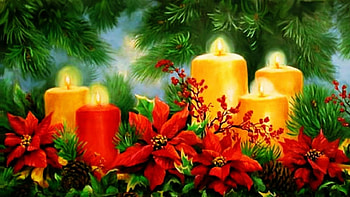 Candles and Poinsettias, candles, flowers, light HD wallpaper