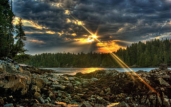 Nature, Stones, Sun, Clouds, Lake, Beams, Rays, Forest, Evening, Mainly Cloudy, Overcast HD wallpaper