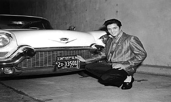 Elvis Presley, Rock & Roll, Music, The King HD wallpaper