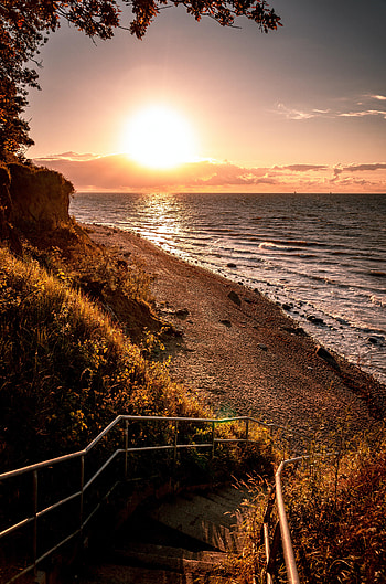 Nature, Trees, Sun, Coast, Branches, Ladder, Stairs HD phone wallpaper