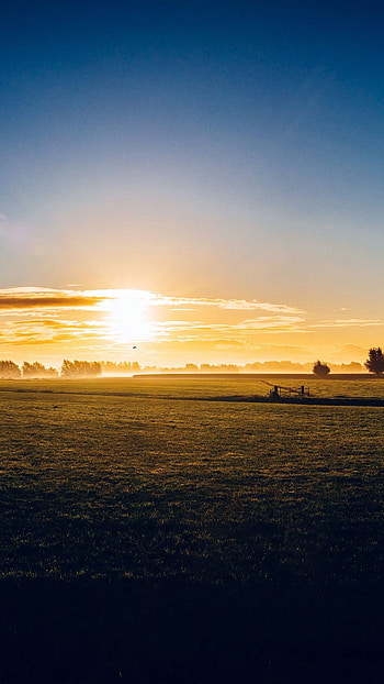 Sunny morning farm, Nature's peace, , Live HD phone wallpaper