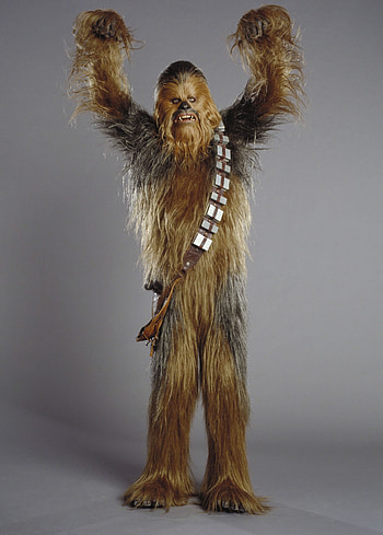 Chewbacca movies, Star Wars Chewbacca Wookiee HD phone wallpaper