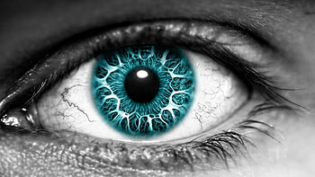 Eye, blue, white, black, abstract HD wallpaper