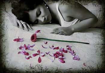 Petals, woman, red, flower HD wallpaper