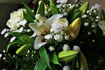 White Bouquet, Flowers, White, Bouquets, Nature HD wallpaper