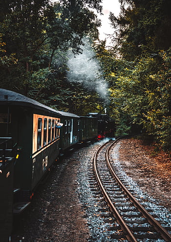 A vintage train travels through a lush forested landscape, emitting smoke into the air. HD phone wallpaper