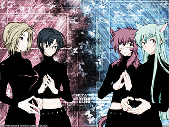 the zeros, cat ears, zeros, anime, loveless HD wallpaper