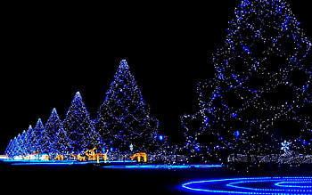 Christmas Trees Lights And Reindeer, Abstract, Christmas, Trees, Reindeer, Lights HD wallpaper