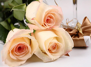 Flowers, Roses, Drops, Bouquet, Freshness, Gift, Present, Surprise HD wallpaper