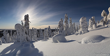 Snow Covered Mountain Riistunturi NP Lapland, trees, winter, Finland, snow HD wallpaper