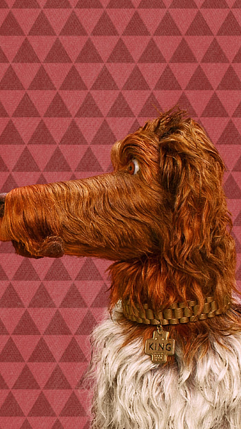 Isle of Dogs (2022) movie HD phone wallpaper